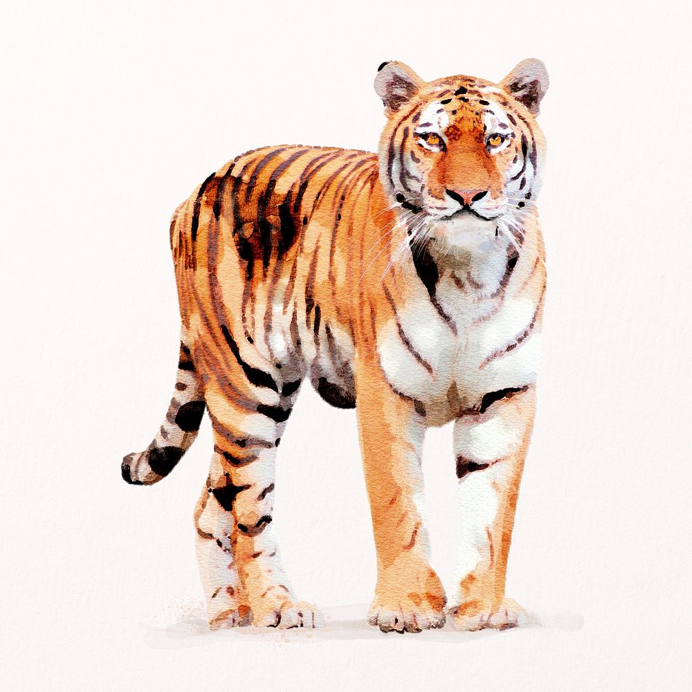 Watercolor tiger illustration psd, animal painting