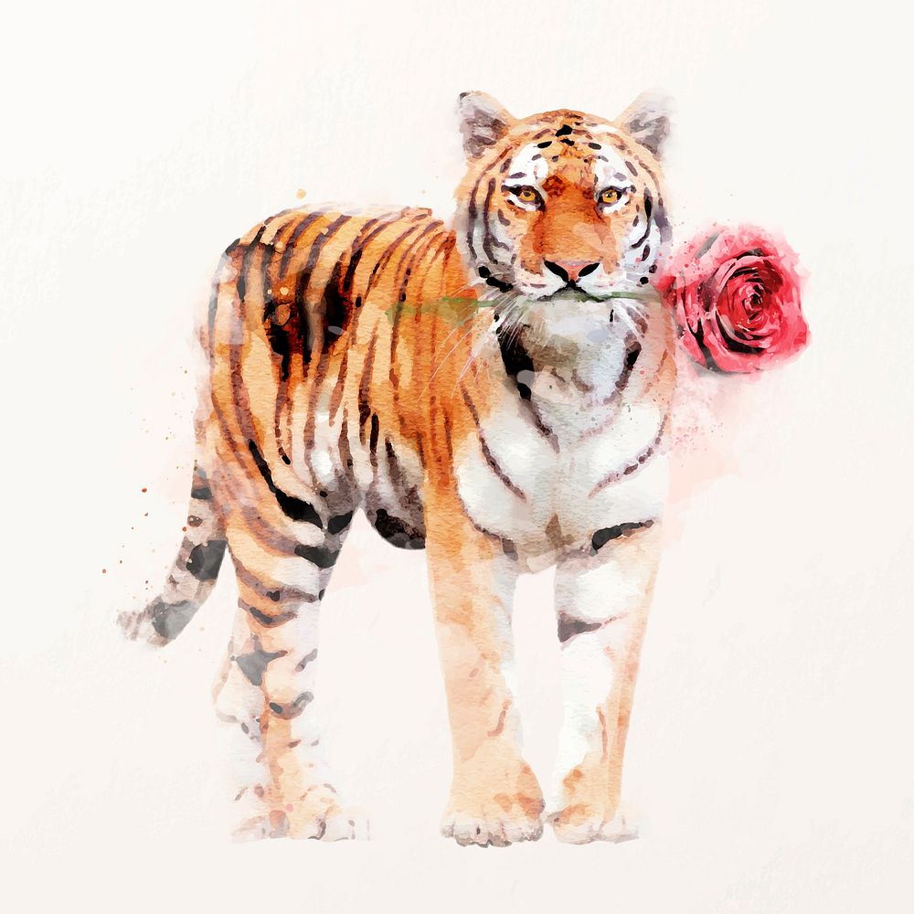 Watercolor tiger & rose illustration vector