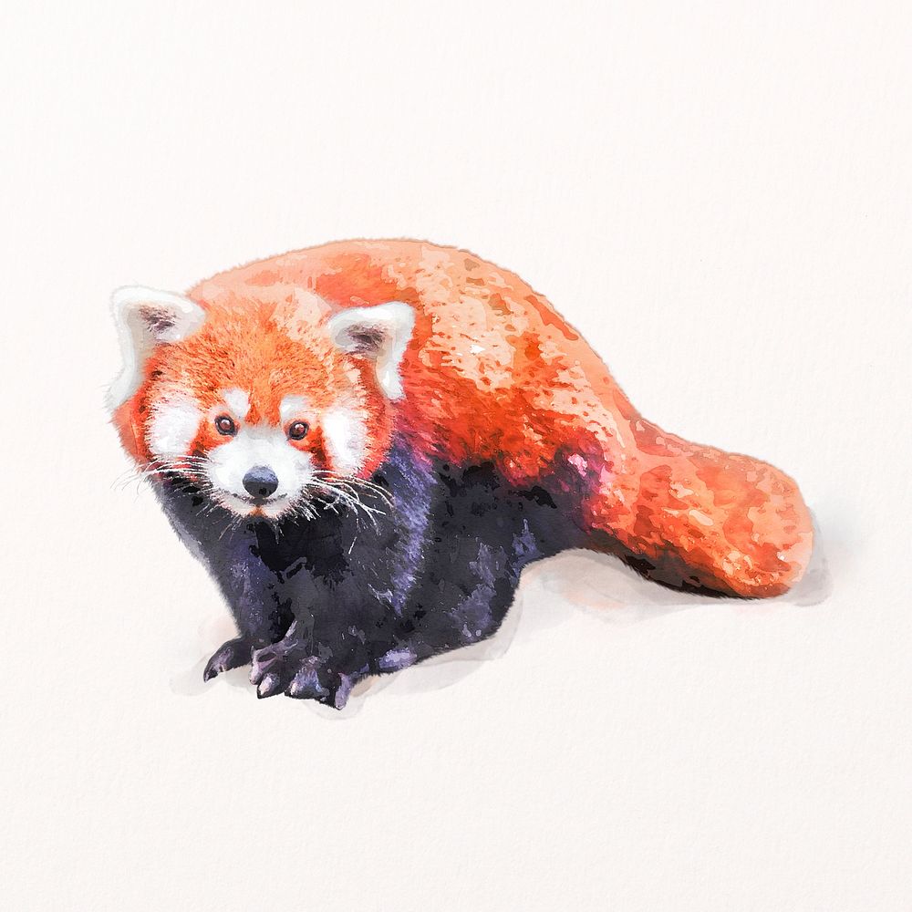 Red panda illustration psd in watercolor, animal painting