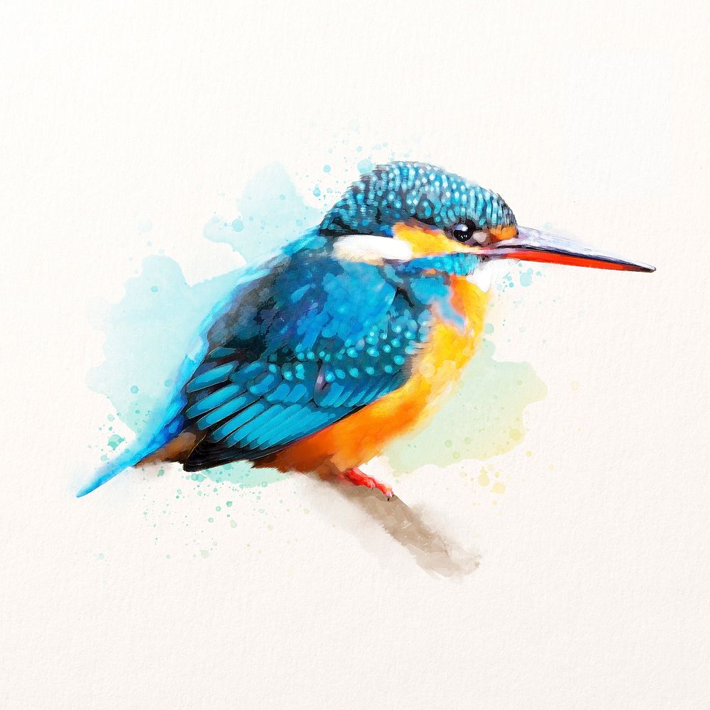 Blue kingfisher bird illustration in watercolor, animal drawing 