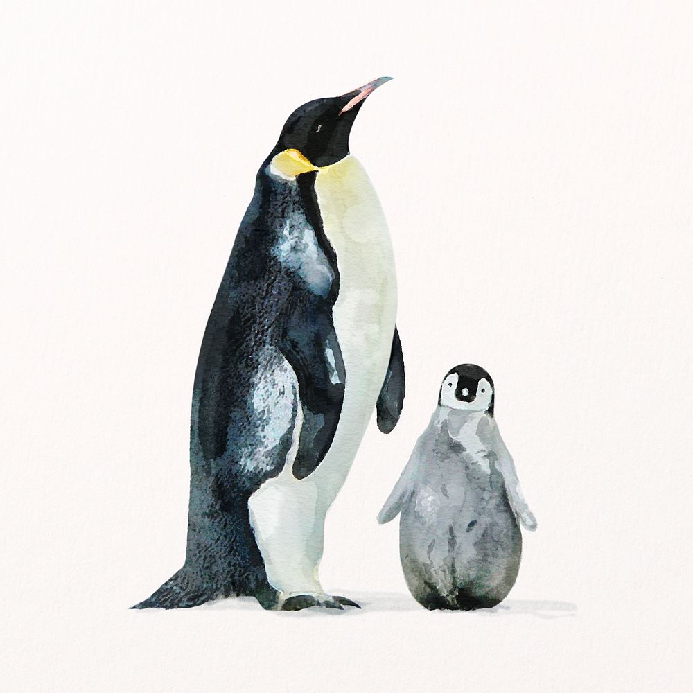 Penguin family illustration psd, animal drawing 