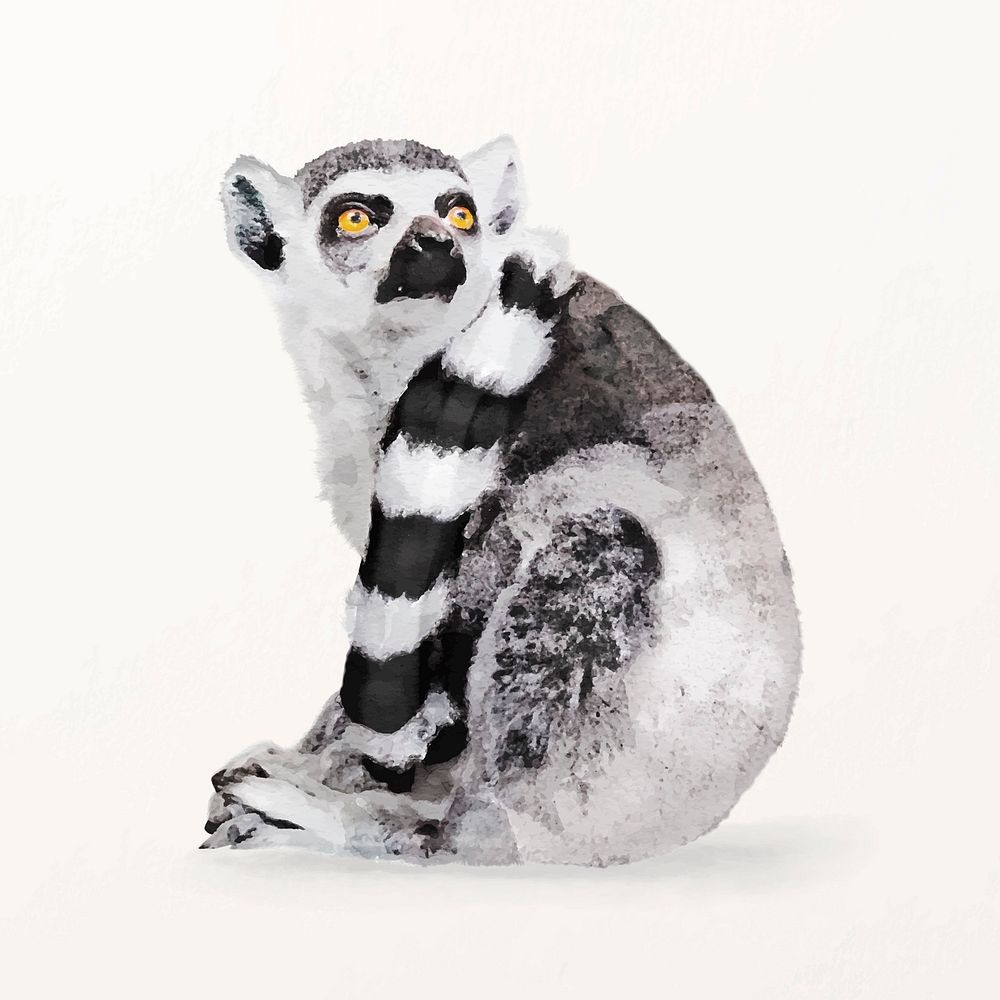 Watercolor lemur illustration vector, animal drawing