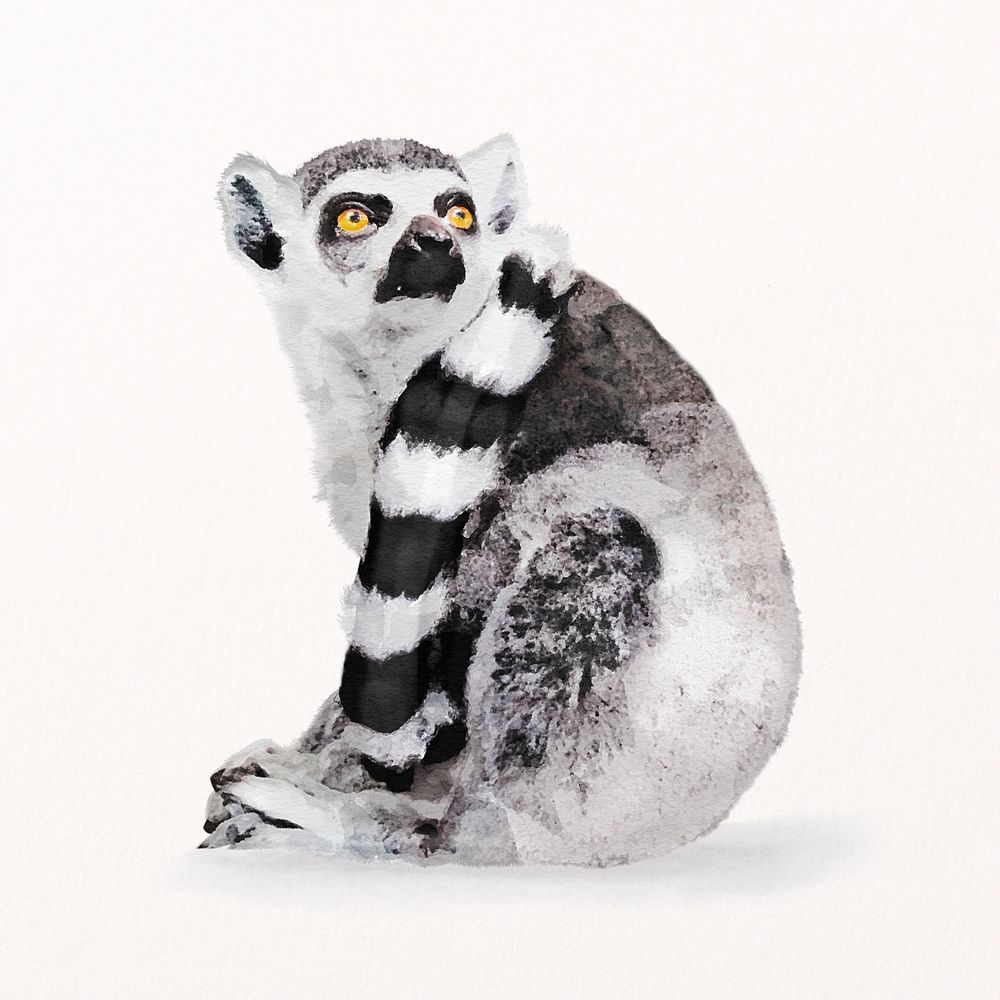 Watercolor lemur illustration psd, animal drawing