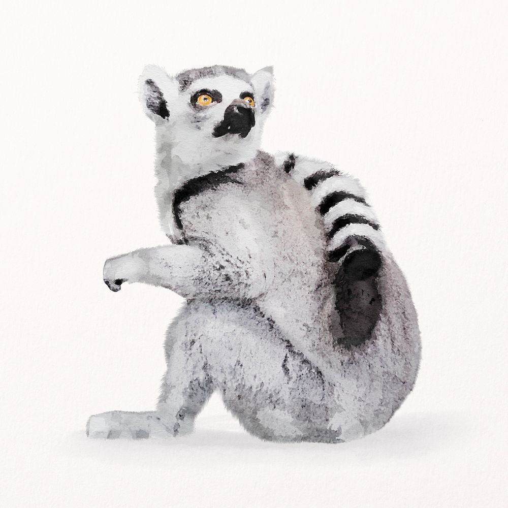 Watercolor lemur illustration psd, animal painting