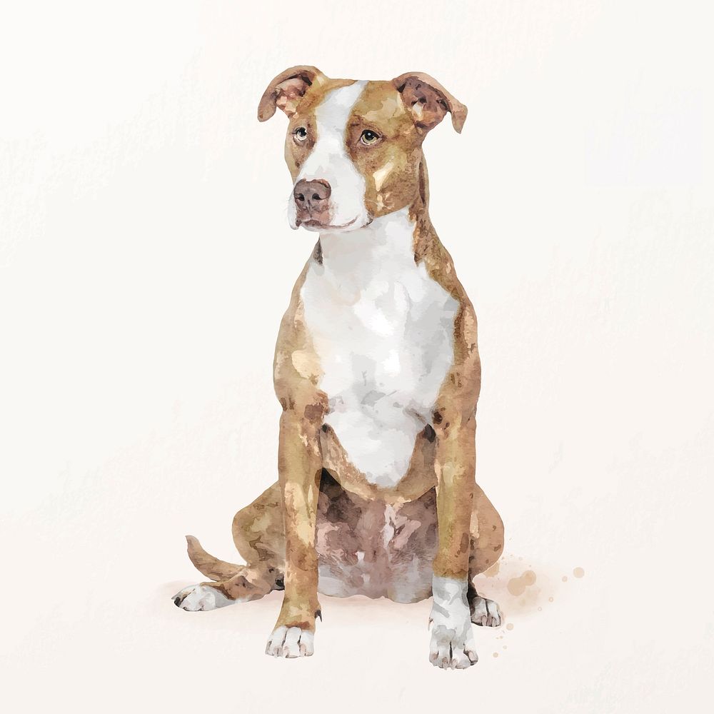 Pitbull terrier dog illustration vector, cute pet painting