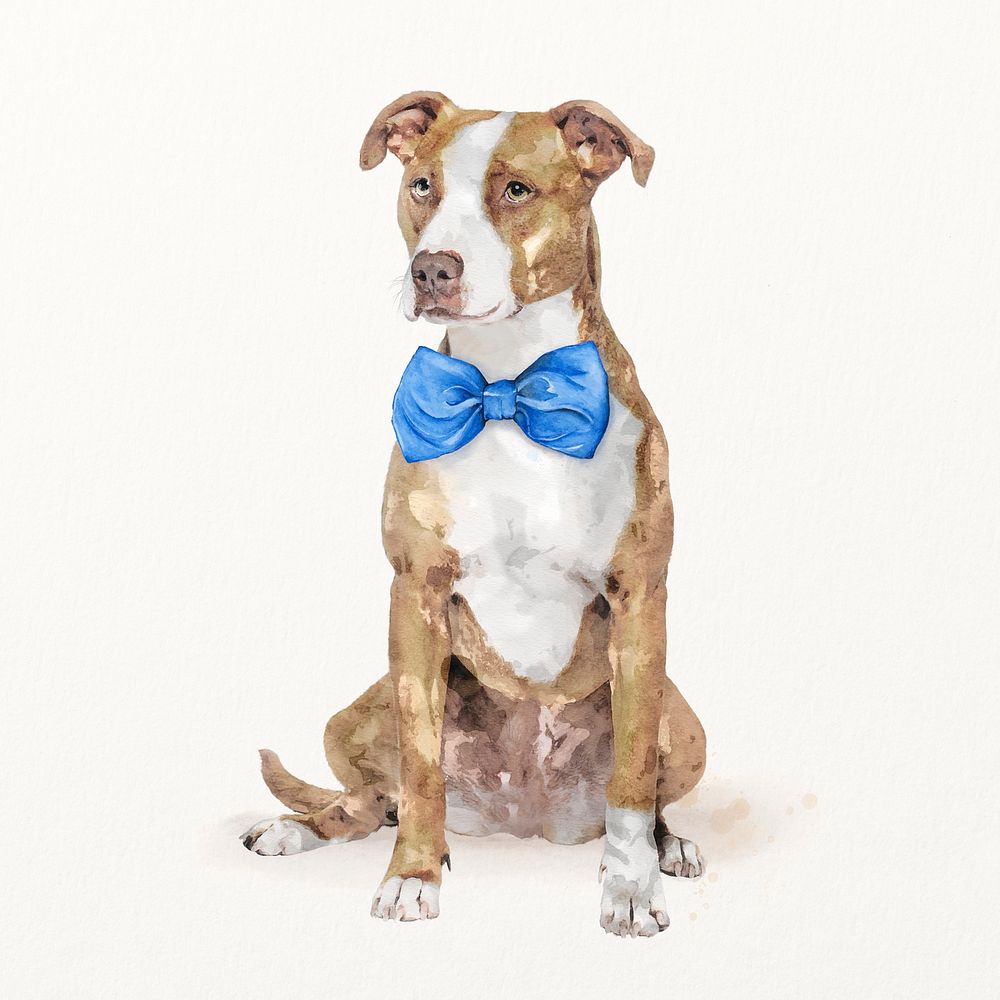 Pitbull terrier dog illustration with blue bow tie, cute pet painting