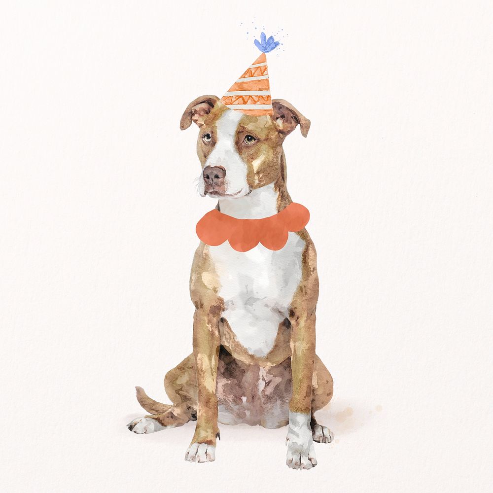 Pitbull terrier dog illustration psd with birthday party hat & collar