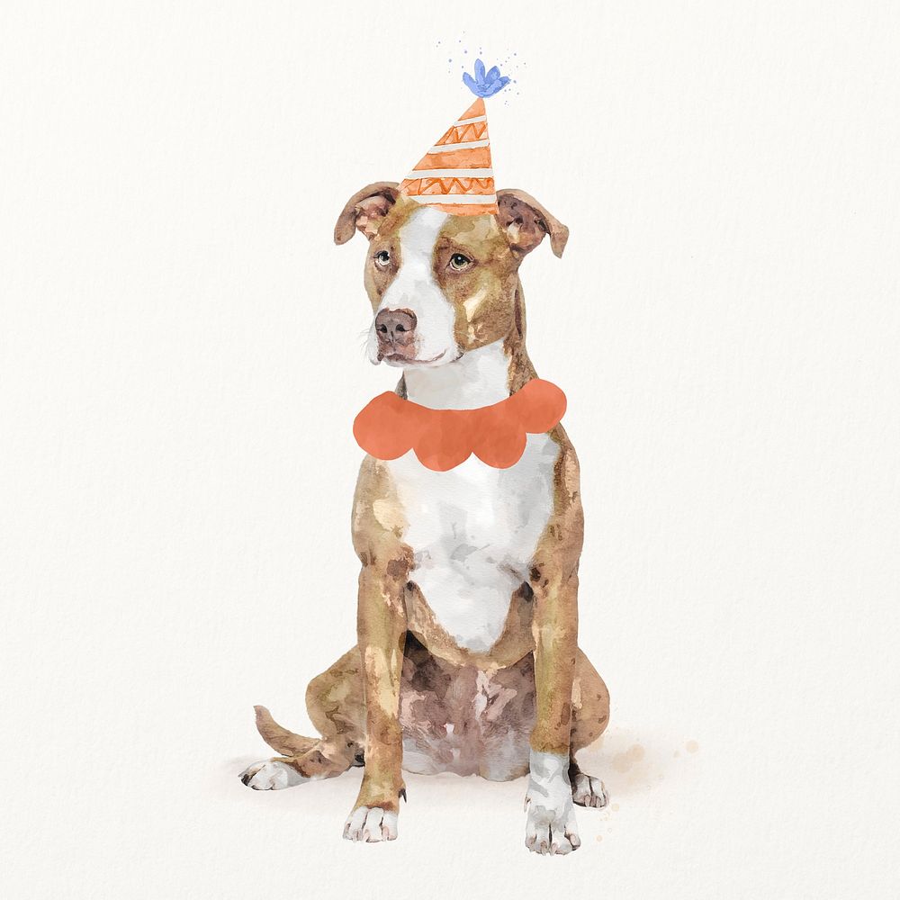 Pitbull terrier dog illustration with birthday party hat & collar, cute pet painting