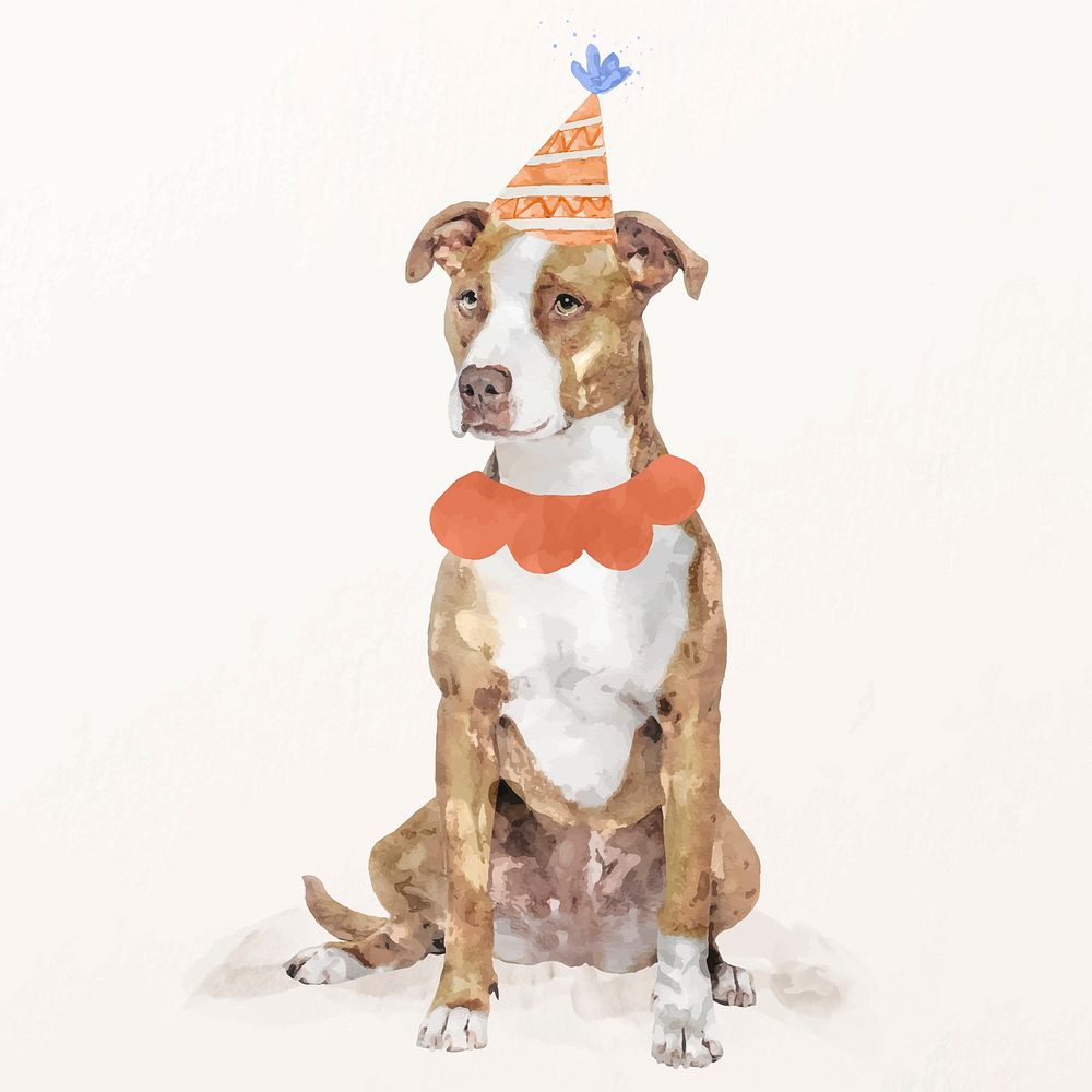 Pitbull terrier dog illustration vector with birthday party hat & collar