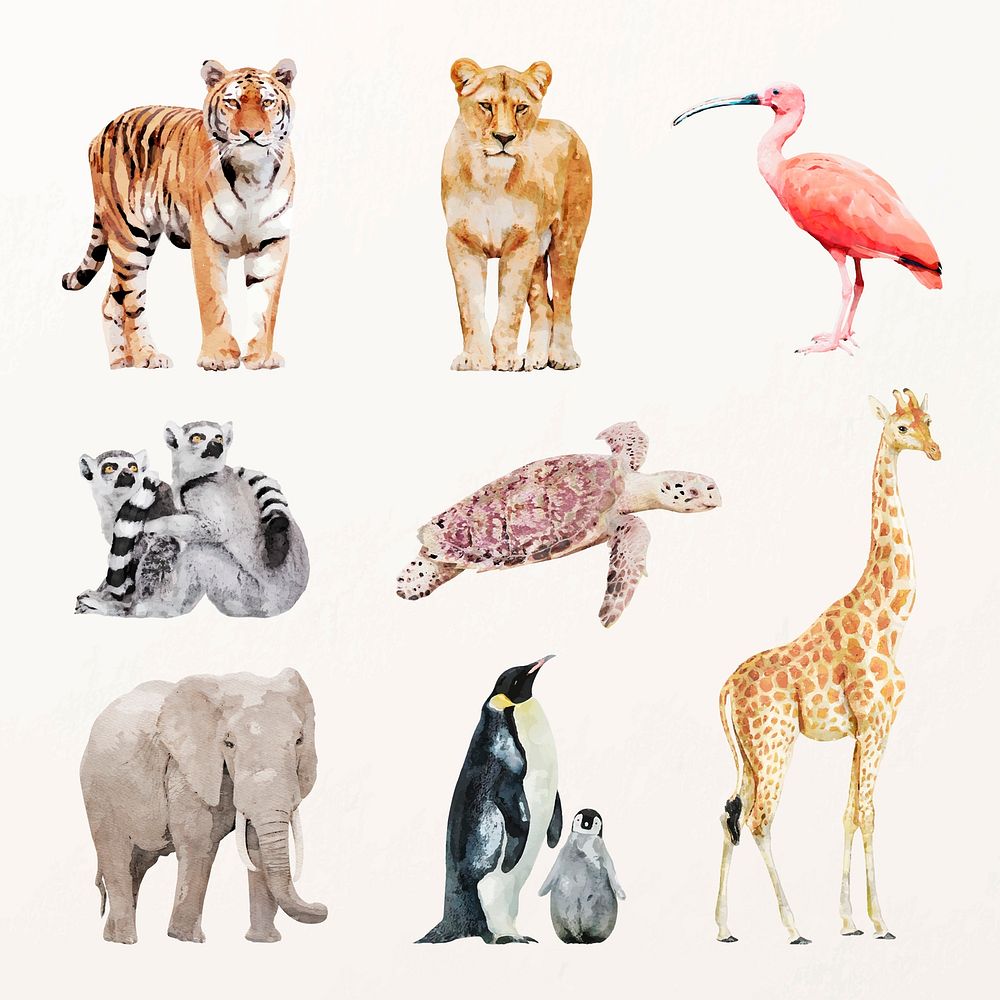Wildlife animal illustration vector set animal painting