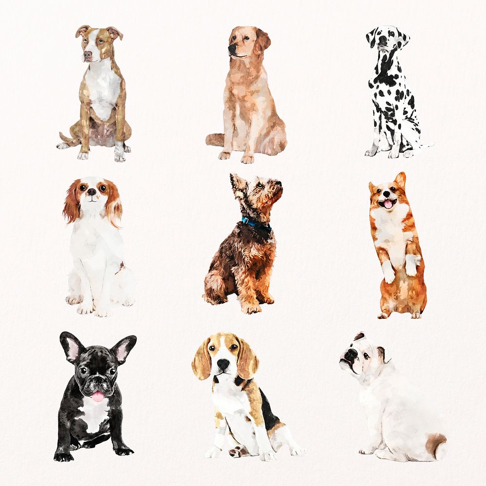 Cute watercolor dog illustration psd set with different breeds