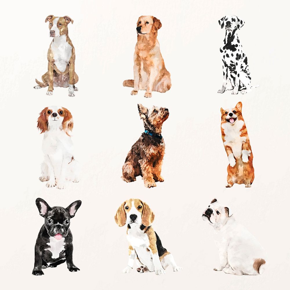 Cute watercolor dog illustration vector set with different breeds