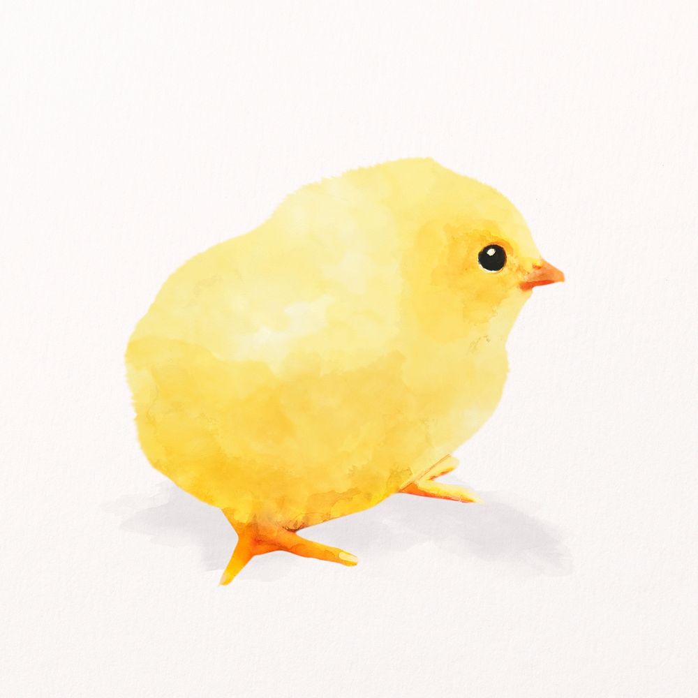 Chick watercolor illustration, cute farm design psd