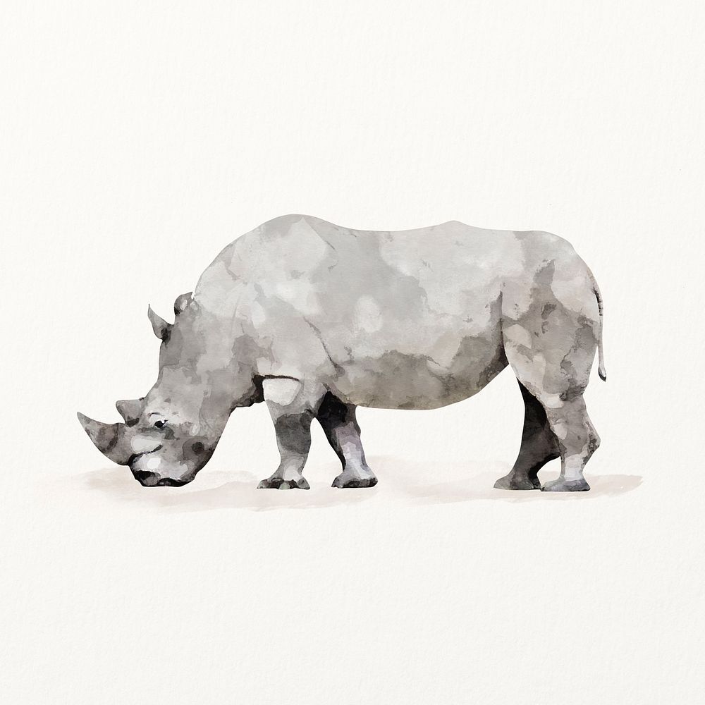 White rhinoceros watercolor illustration, cute animal design