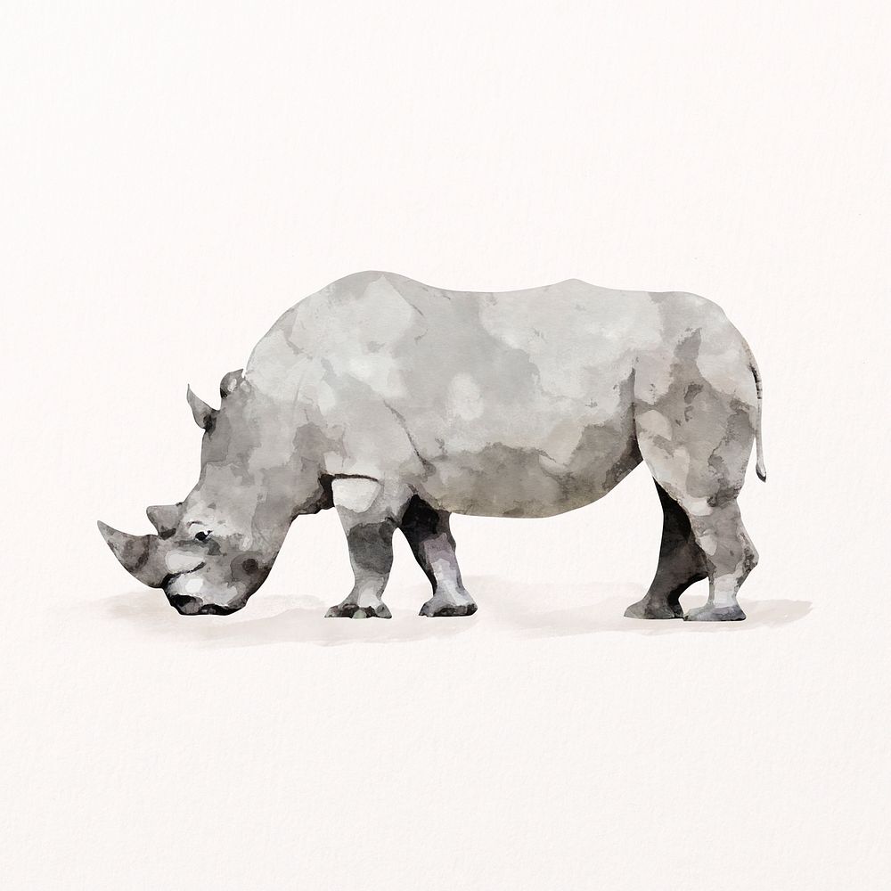 White rhinoceros watercolor illustration, animal design psd