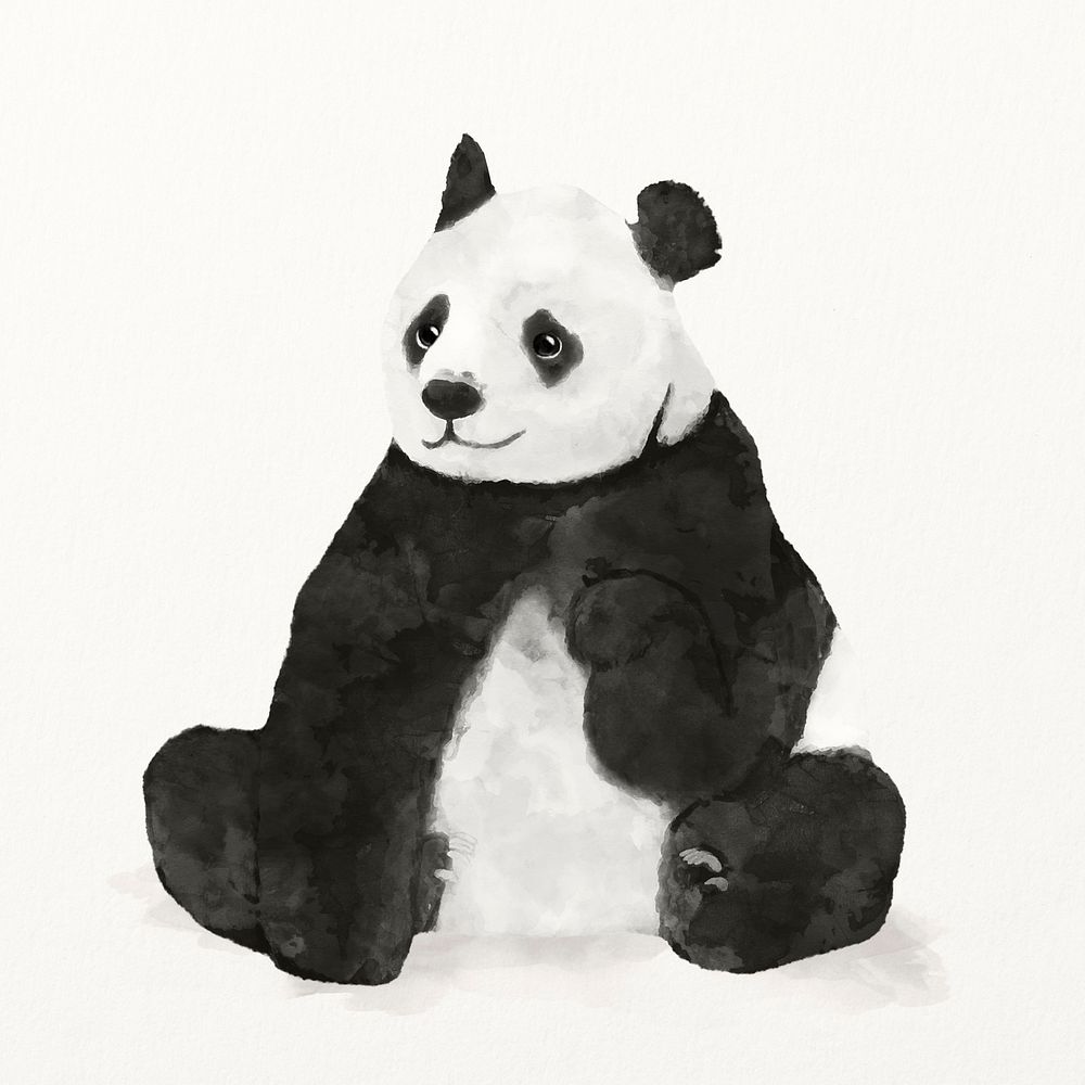 Panda watercolor illustration, cute animal design