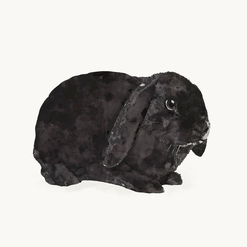 Black bunny watercolor illustration, Holland Lop vector