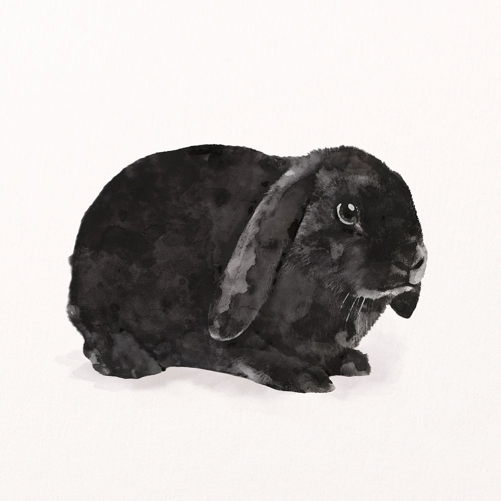 Bunny watercolor illustration, Holland Lop psd
