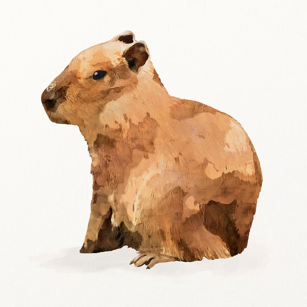 Capybara watercolor illustration, cute animal design
