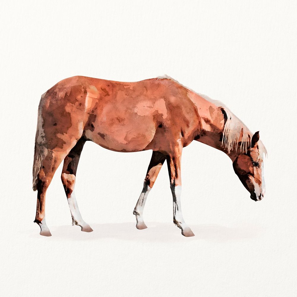 Horse watercolor illustration, cute animal design
