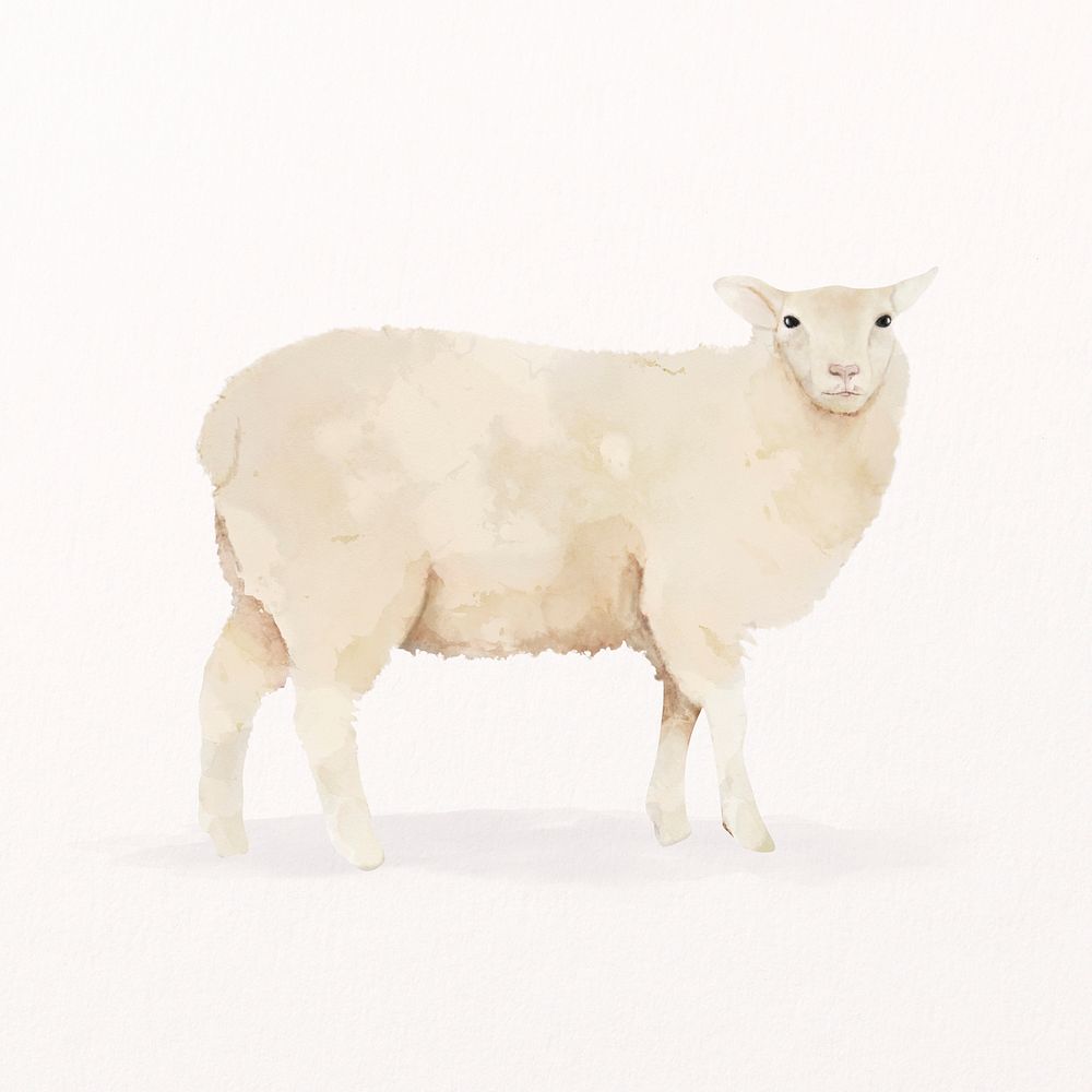 Sheep watercolor illustration, cute farm design psd