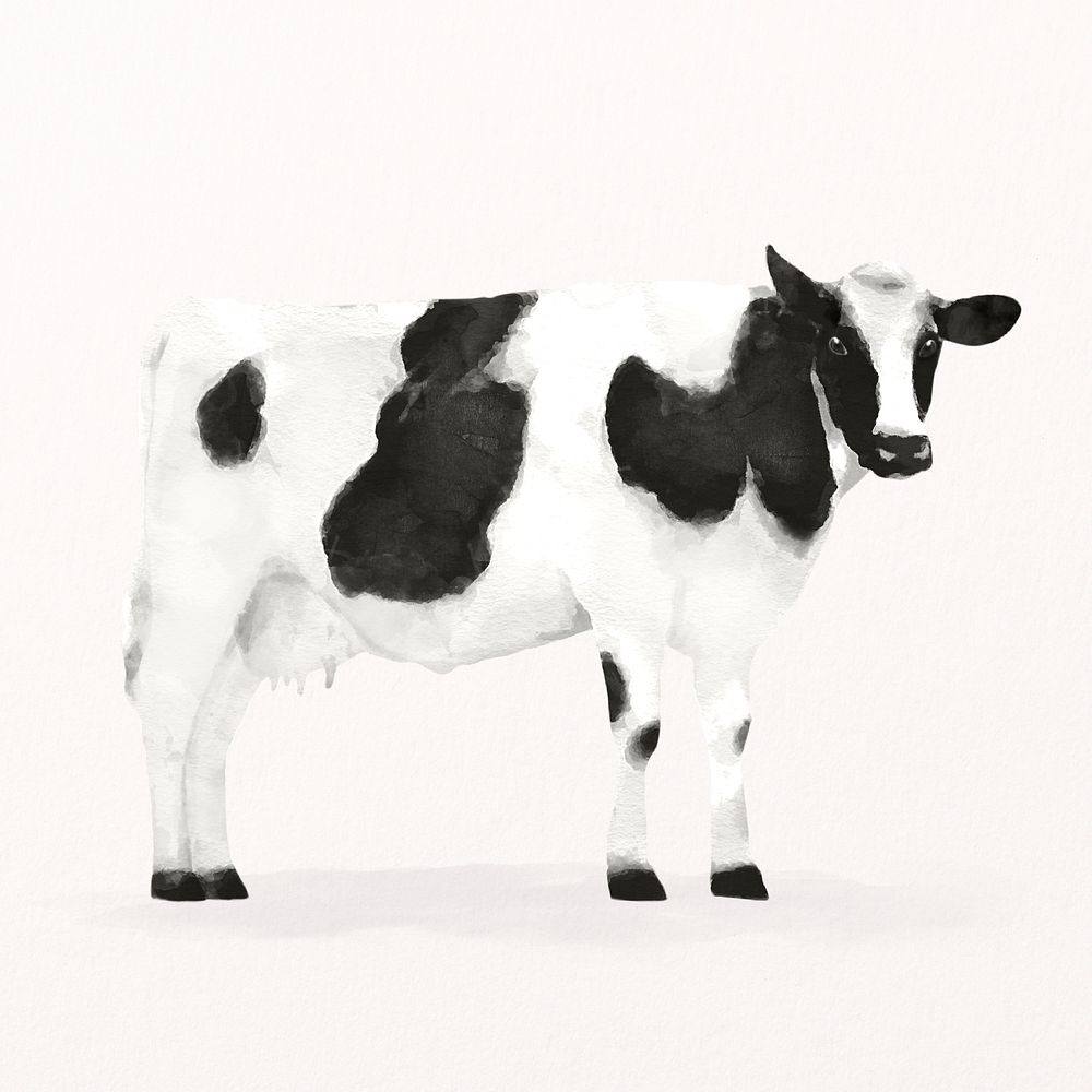 Dairy cow watercolor illustration, cute farm design psd