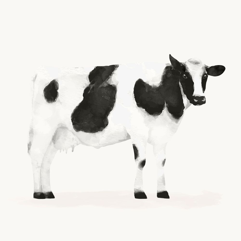 Cow watercolor illustration, animal design vector