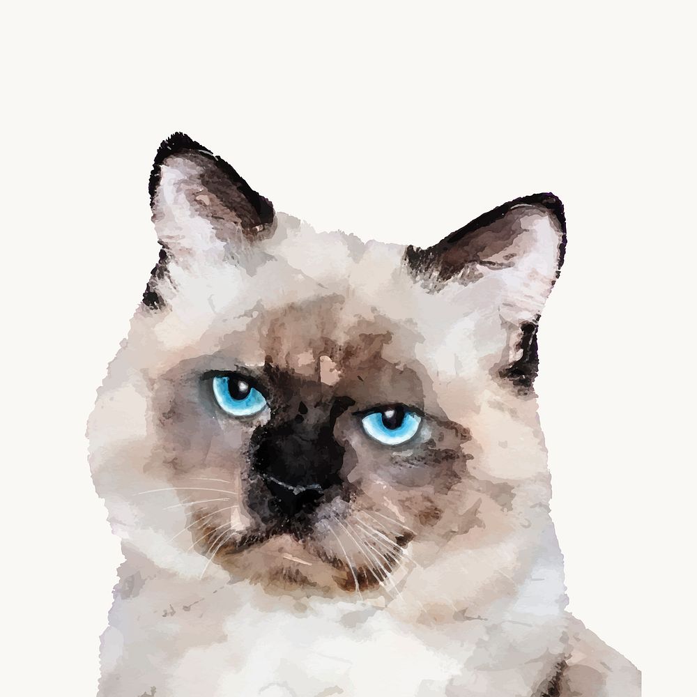 Ragdoll cat watercolor illustration, animal design vector