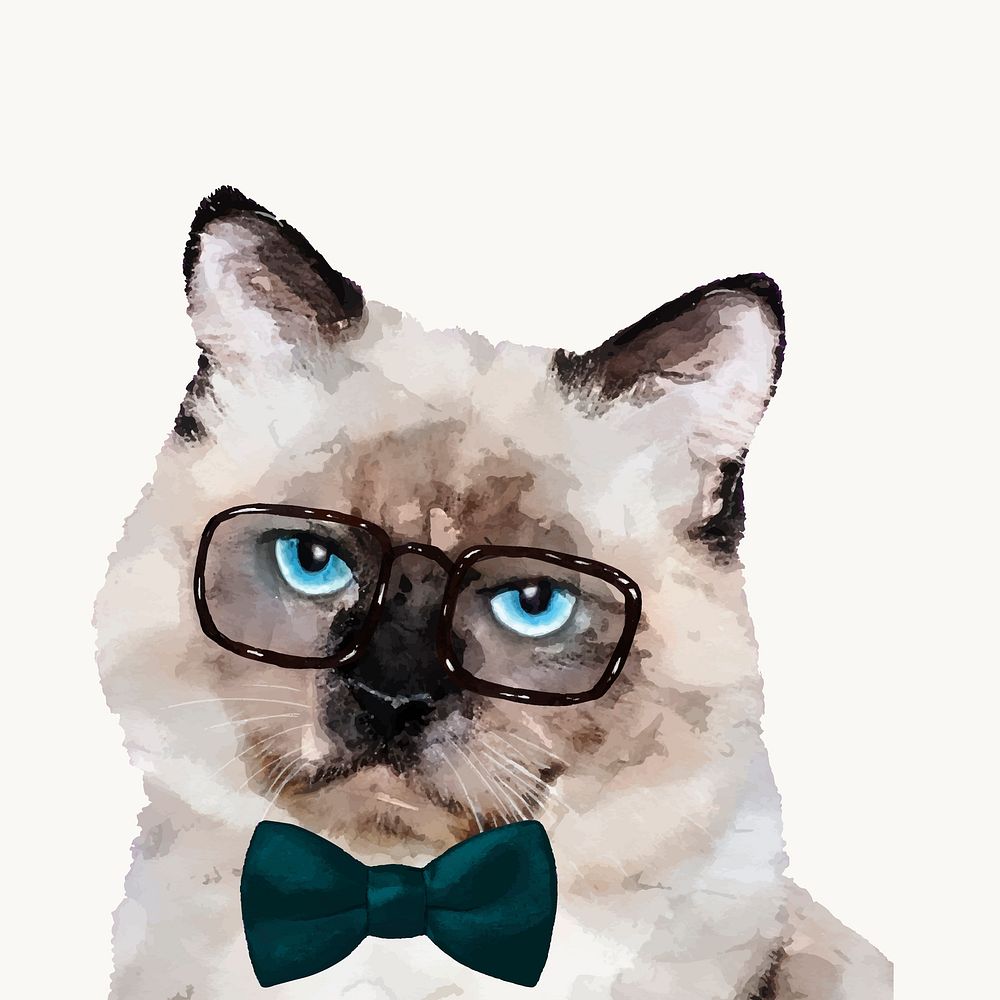 Gentleman cat watercolor illustration, Ragdoll cat vector