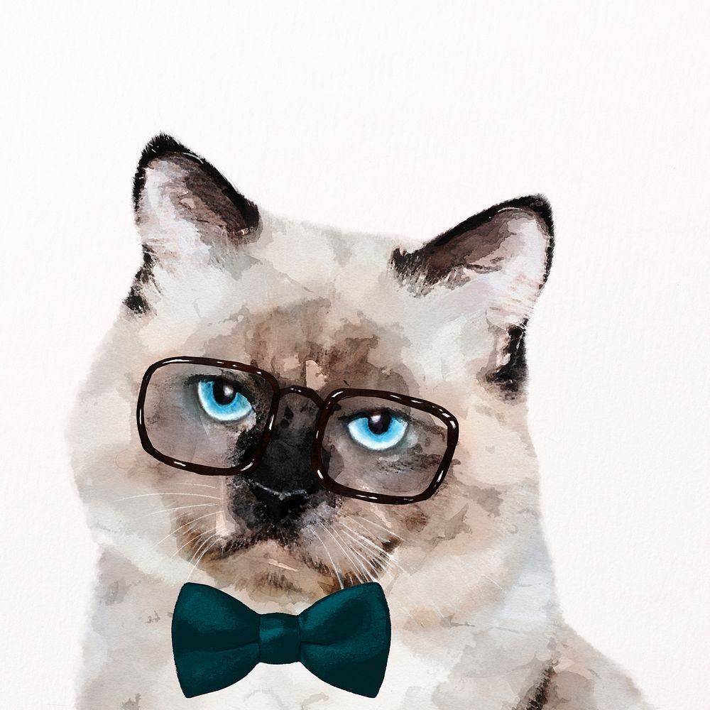 Cat with eyeglasses watercolor illustration, Ragdoll psd