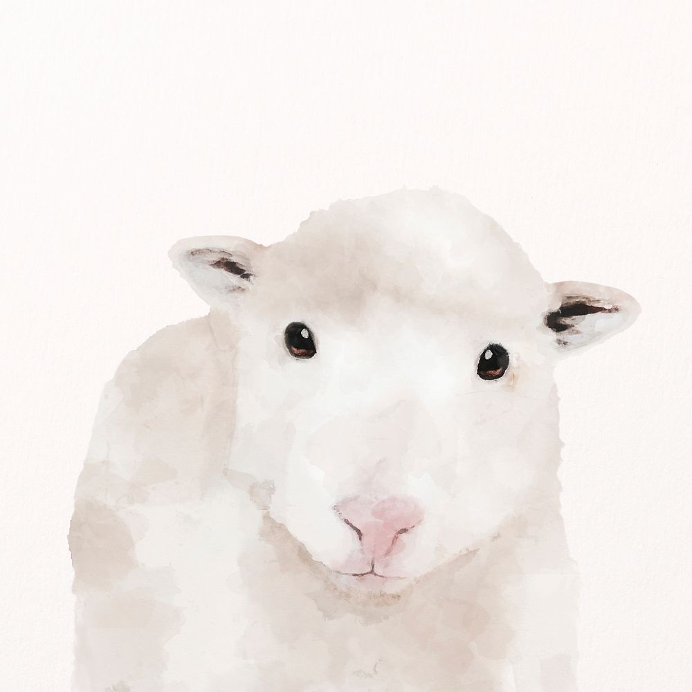 Lamb watercolor illustration, cute farm design psd
