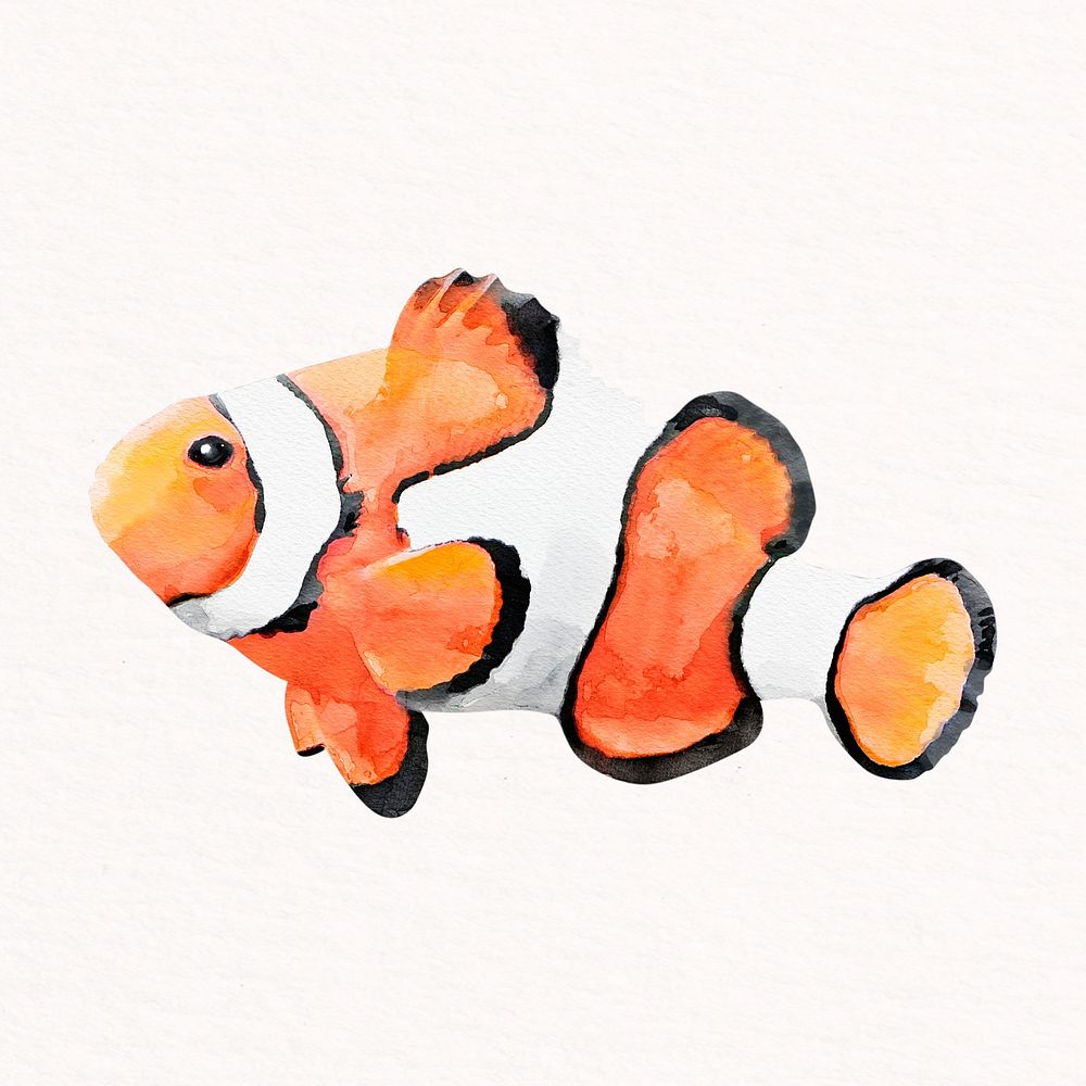 Clownfish watercolor illustration, cute fish design psd