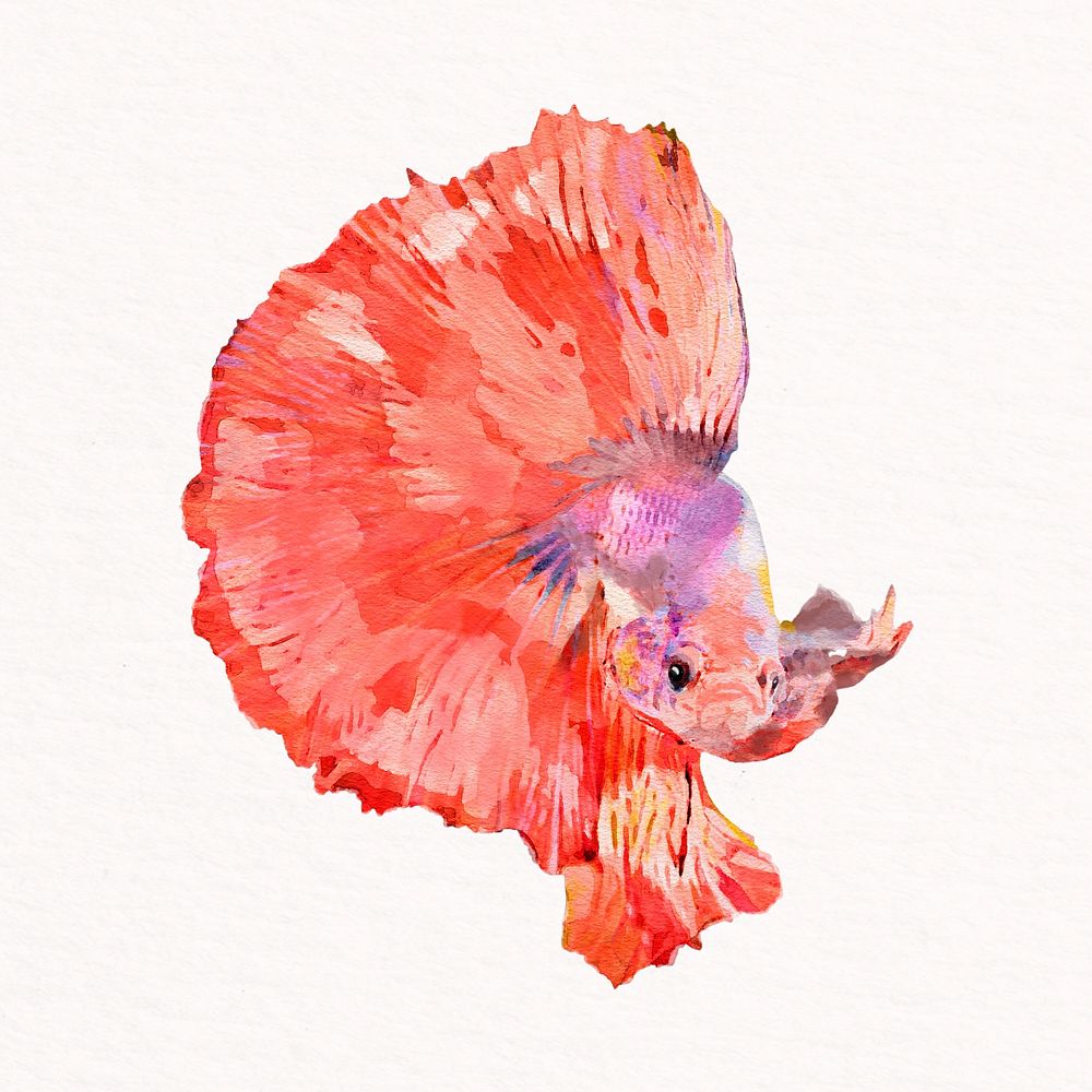 Betta fish watercolor illustration, cute design psd