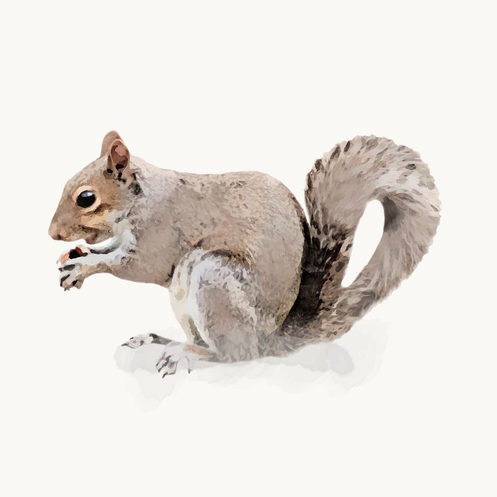 Watercolor squirrel illustration, animal design vector