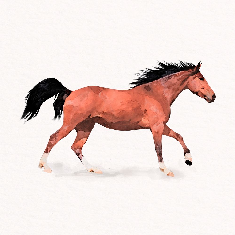 Running horse watercolor illustration, pet design psd