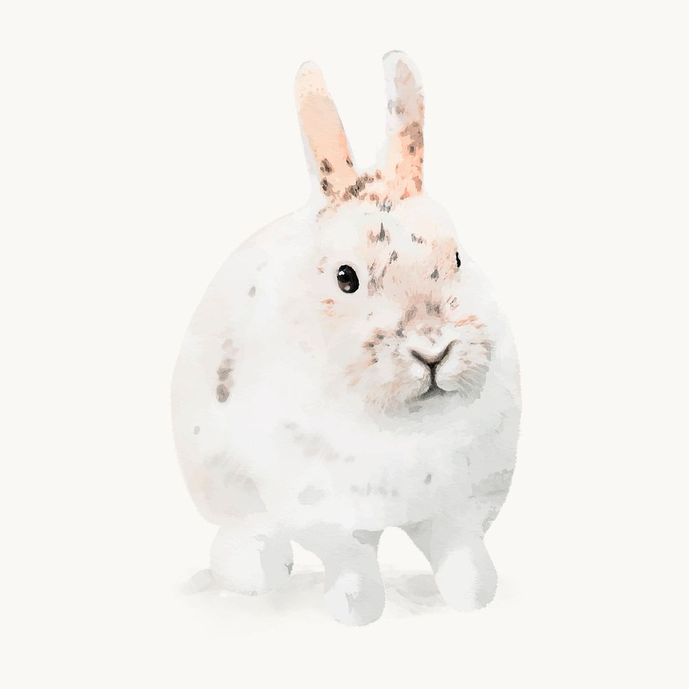 Watercolor rabbit illustration, English Spot vector