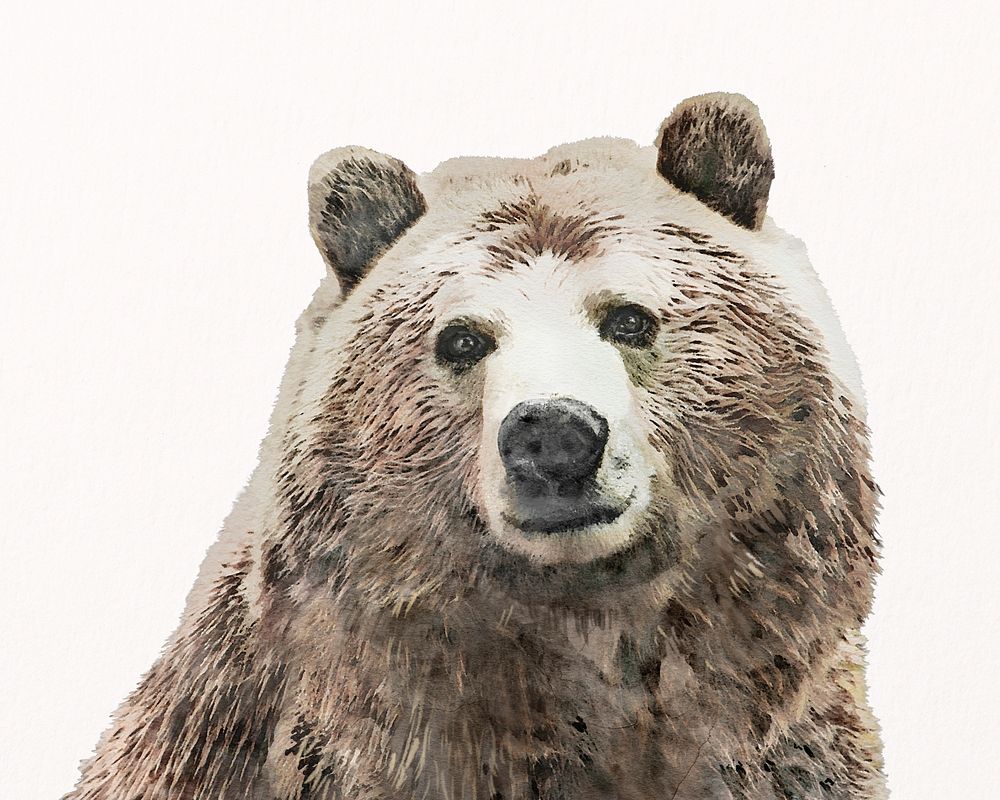 Brown bear watercolor illustration, animal design psd