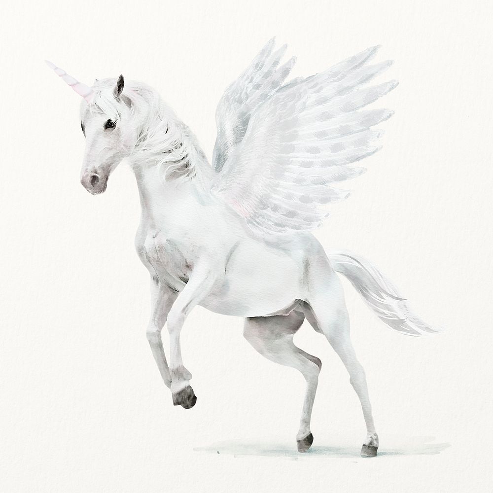 Pegasus illustration, animal watercolor design