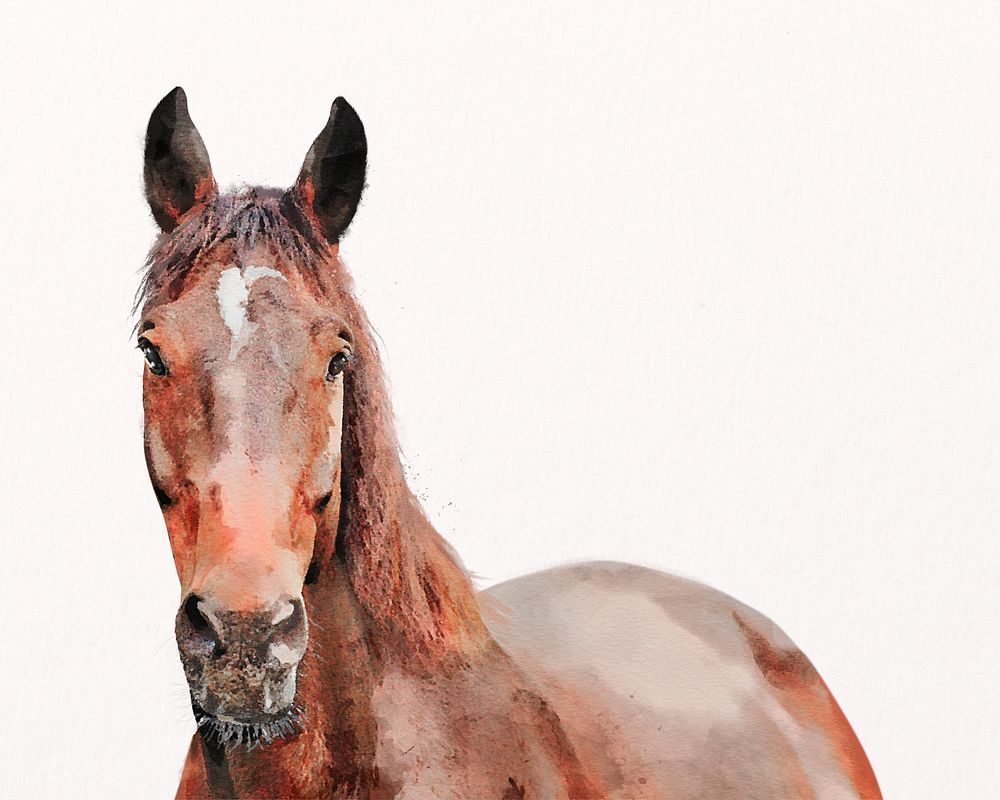 Horse watercolor illustration, pet design psd