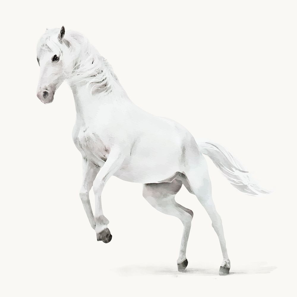 Watercolor white horse illustration, animal design vector