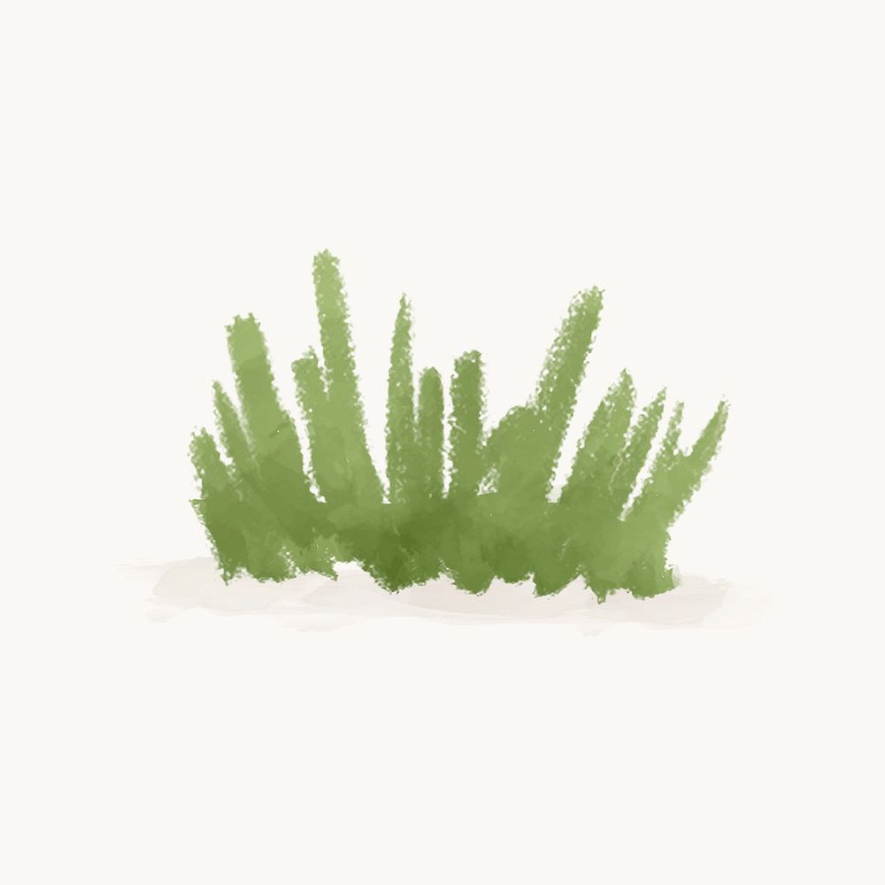 Watercolor grass illustration, cute design vector