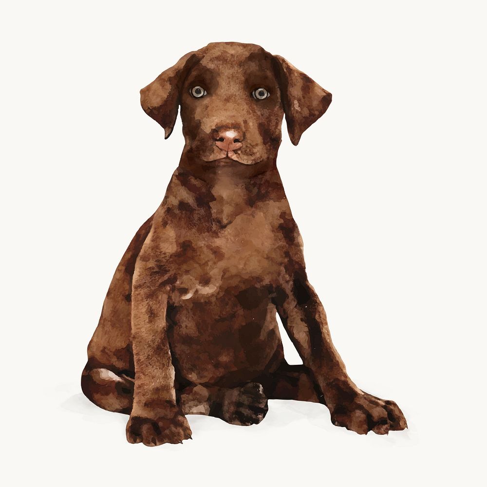 Watercolor dog illustration, Labrador Retriever puppy vector