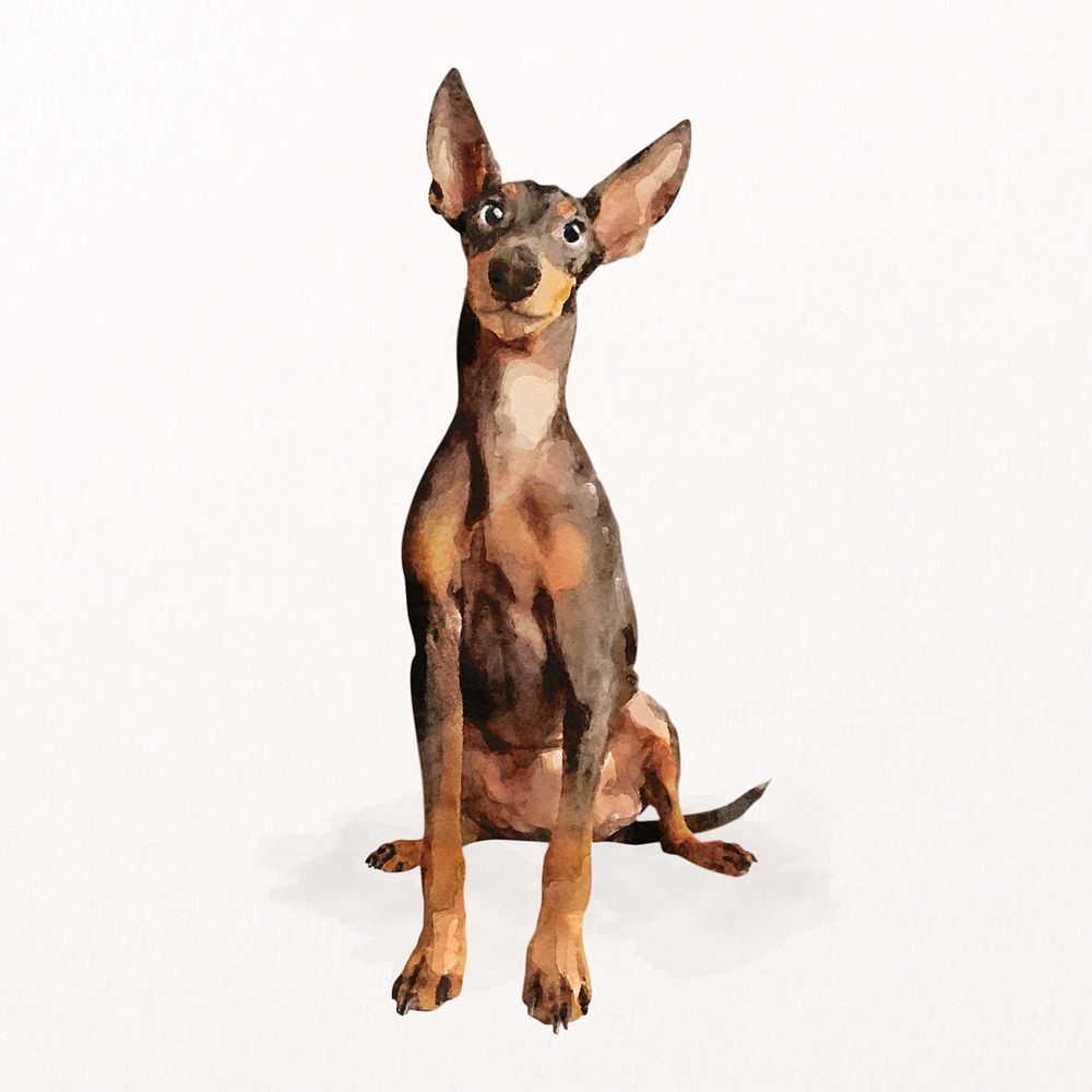 Miniature Pinscher dog watercolor illustration, pet design psd