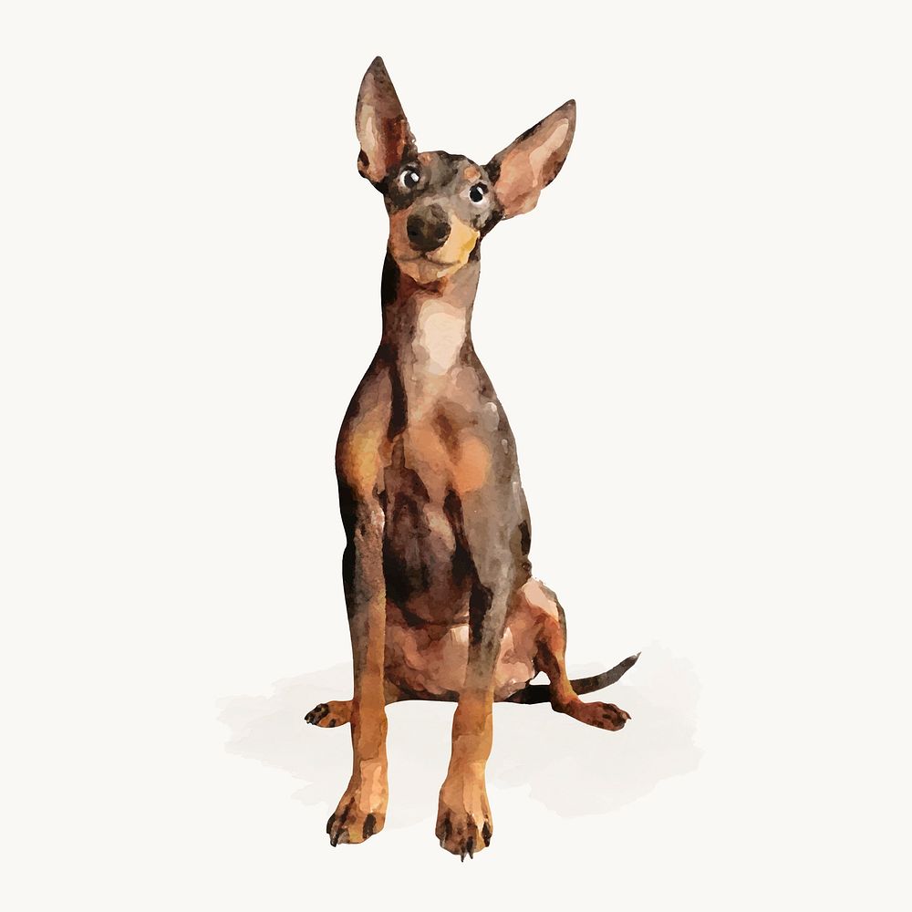 Watercolor dog illustration, Miniature Pinscher vector