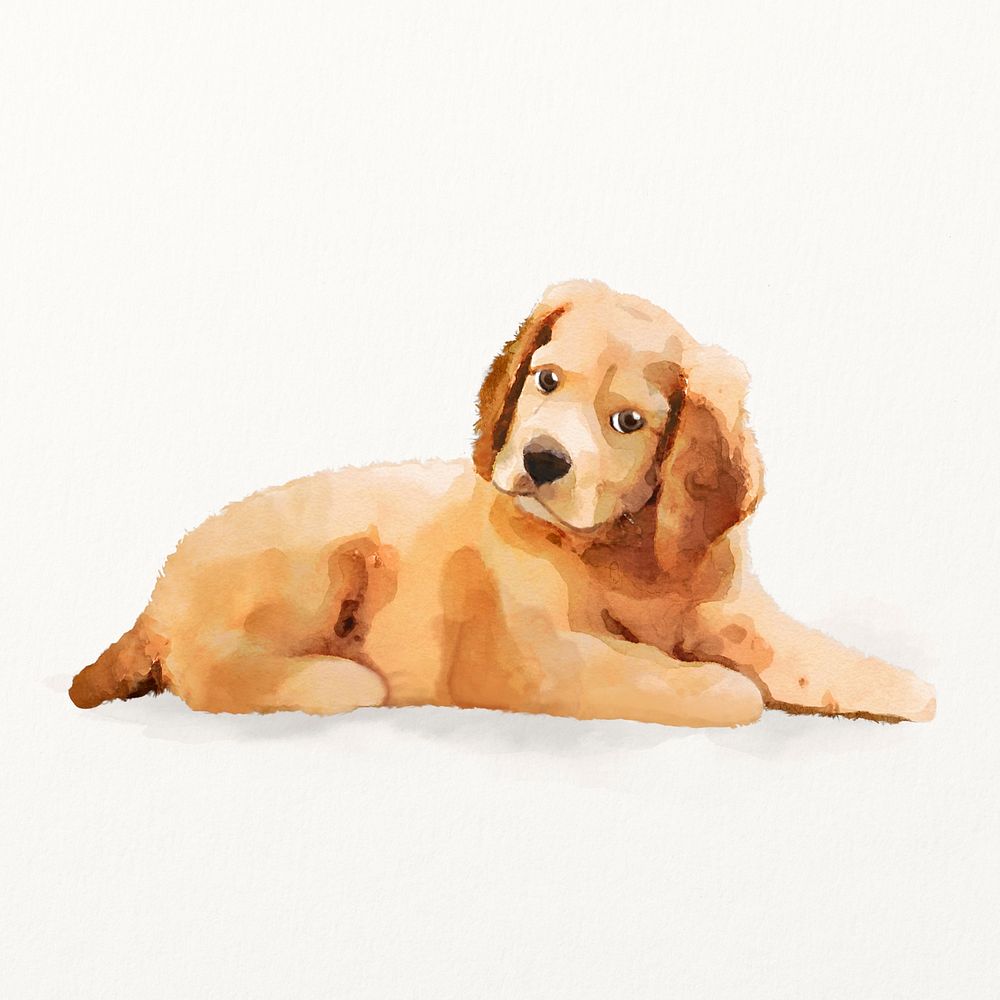 Golden Retriever dog watercolor illustration, cute animal design