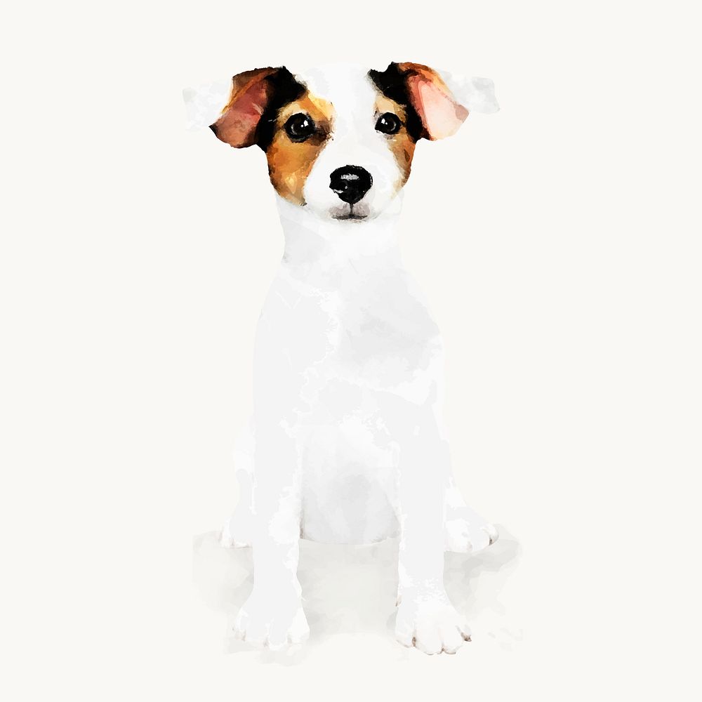 Watercolor puppy illustration, Russell Terrier vector