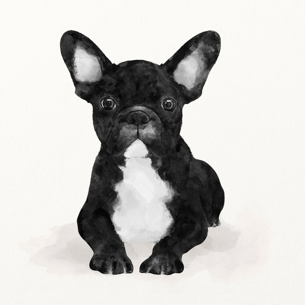 Dog watercolor illustration, French Bulldog