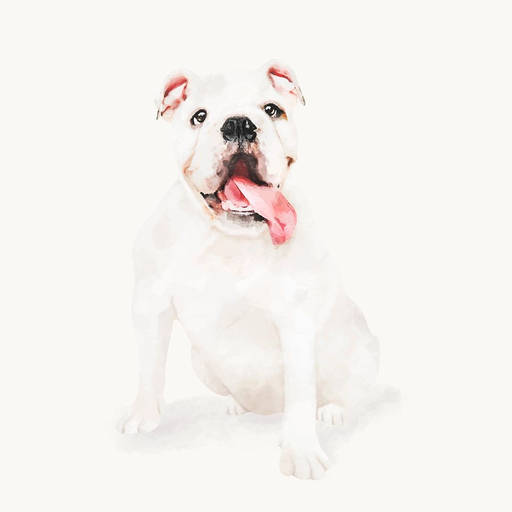 Bulldog watercolor illustration, animal design vector