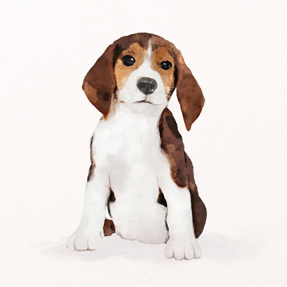 Dog watercolor illustration, Beagle puppy psd