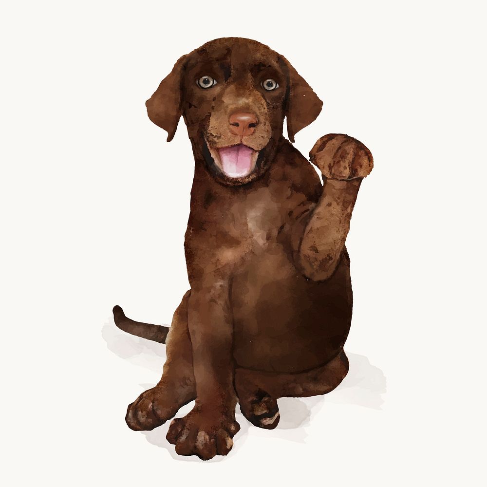 Watercolor brown dog illustration, animal design vector